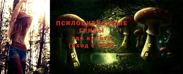 соль ск Абдулино